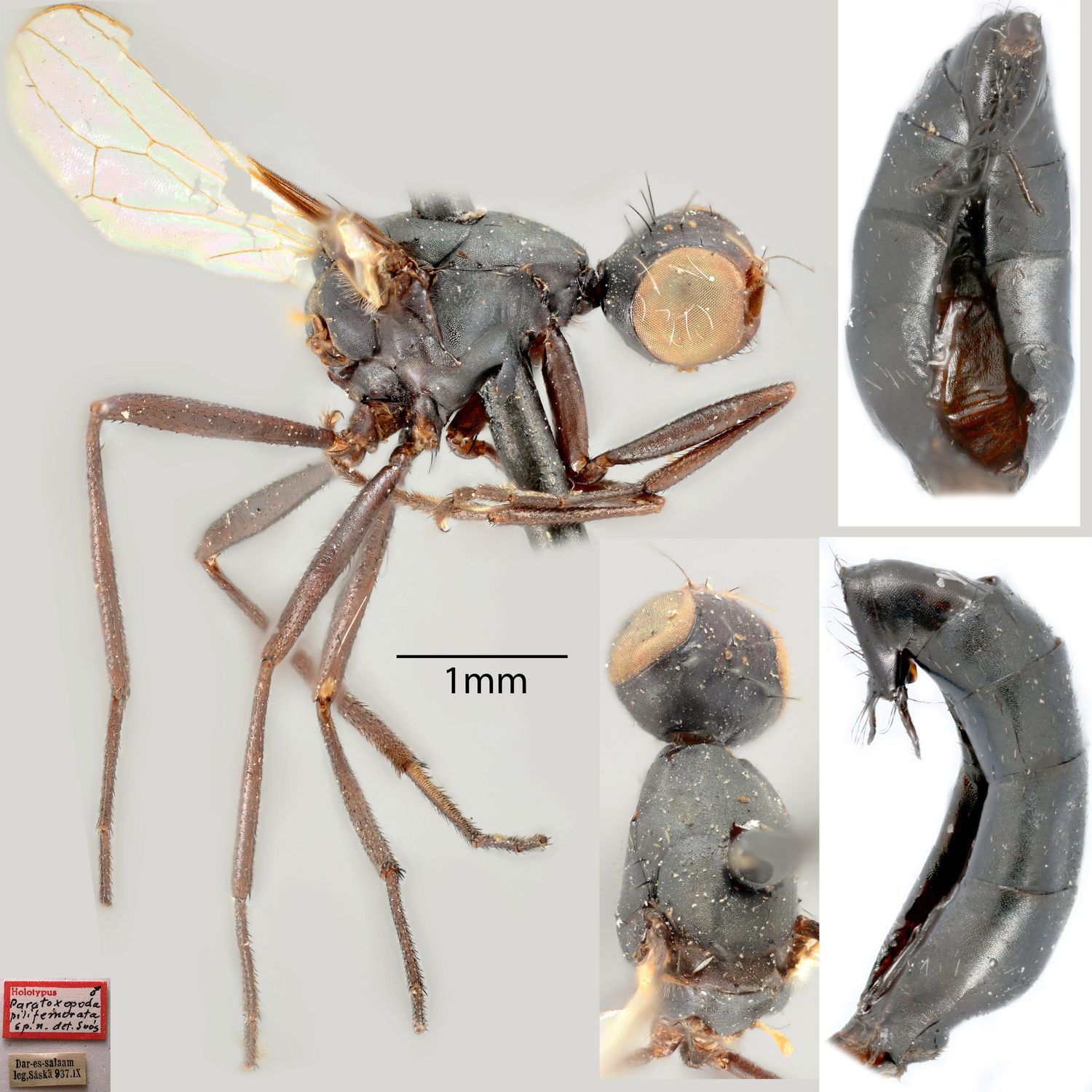 Specimen Photo Medium Resolution