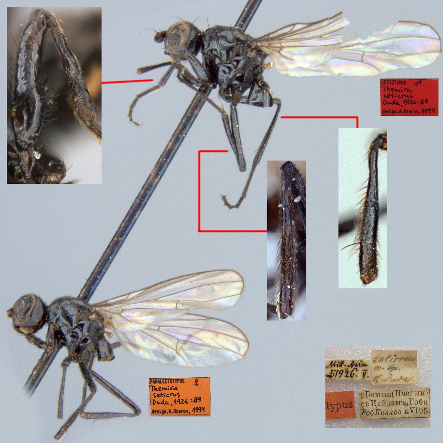 Specimen Photo Medium Resolution