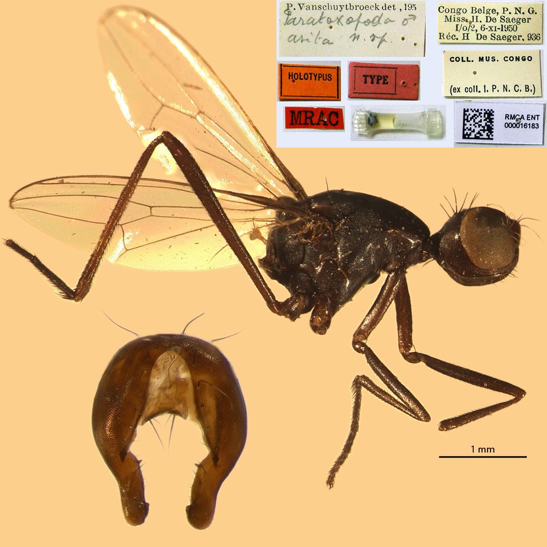 Specimen Photo Medium Resolution