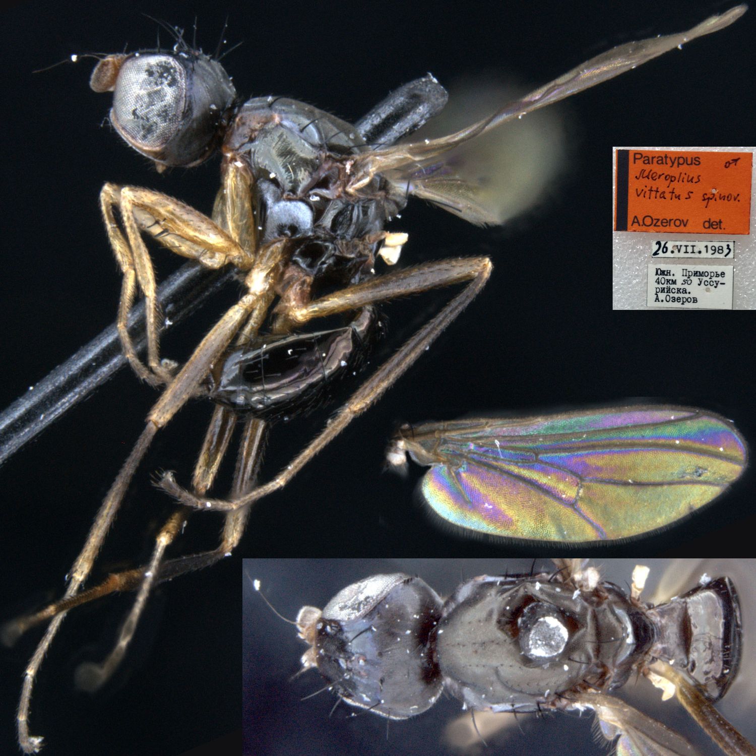 Specimen Photo Medium Resolution