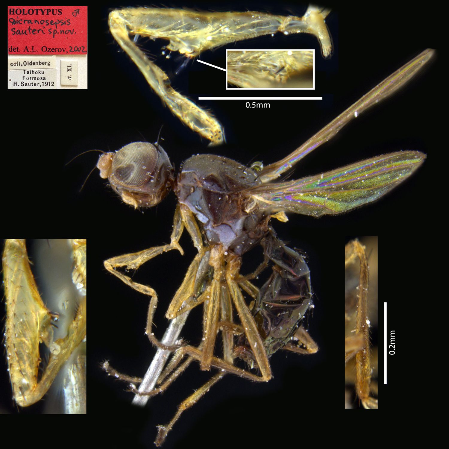 Specimen Photo Medium Resolution