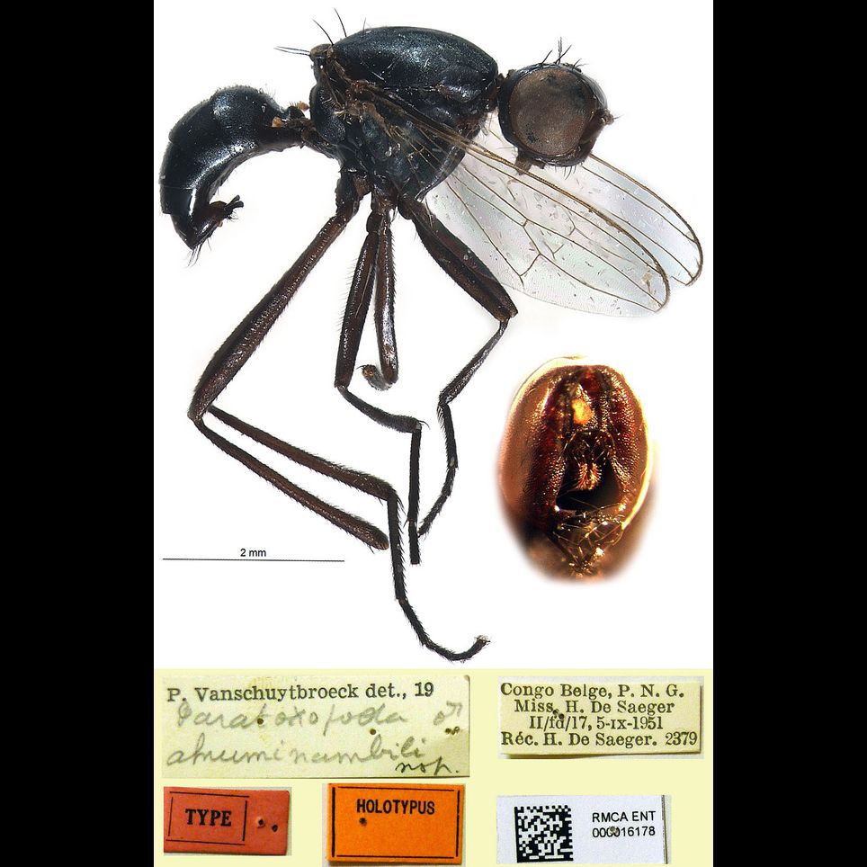 Specimen Photo Medium Resolution