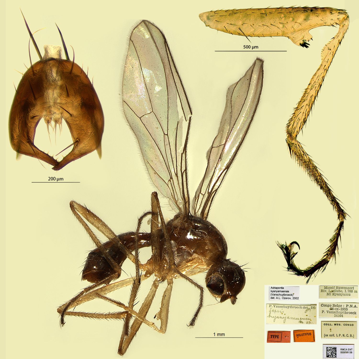 Specimen Photo Medium Resolution